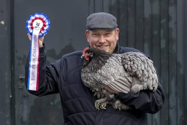 <p>Der Europameister 2023 für Orpington-Hühner, Matthias Schmidt präsentiert sich mit einem Orpington-Huhn am Samstag, dem 11. November 2023 vor einem Stall in der Löhener Egge in Sprockhövel; der Rassegeflügelzüchter wurde in Frankreich dafür ausgezeichnet. Deutschland NRW Sprockhövel Copyright: WalterxFischer