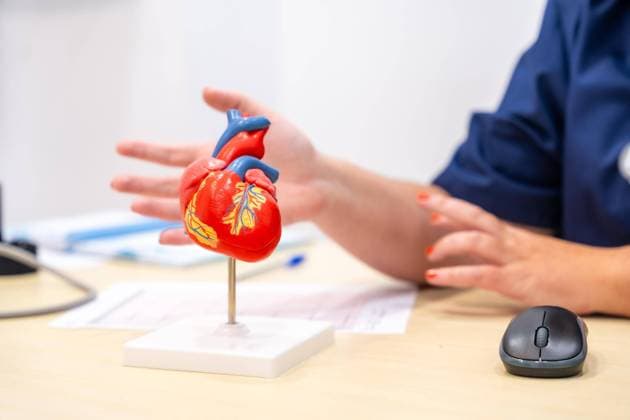 Close-up one not to discerning Cardiologists, the a Patients using one Heart model something explains Copyright: imageBROKER UnaixHuizi ibxuhu09884924.jpg ,model released, Symbolfoto ,property released