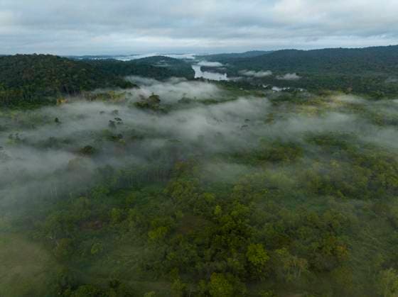 Guyane, outre-mer, amazonie, forêt, biodiversité Florian Launette & Mégane Chêne MAXPPP - Talhuwen 07 12 2023 Guyane- Forêt Amazonienne. Illustration rivière Amazonie foret Illustration sur Talhuwen, également orthographié comme Taluwen, Taluhen ou Taluen, est un village Wayana situé sur la rivière Lawa en Guyane. La Guyane est une collectivité territoriale unique française située en Amérique du Sud, limitrophe du Brésil au sud-est et au sud et du Suriname à l ouest. Elle est la seule collectivité française d outre-mer de nature continentale. Ses compétences, identiques aux autres régions et départements de France, sont regroupées depuis 2015 dans le cadre d une collectivité territoriale unique dont l organe délibérant est l assem Copyright: xMAXPPPxFlorianxLaunettex&xMéganexChênex LAU202312074882 LAU202312074882