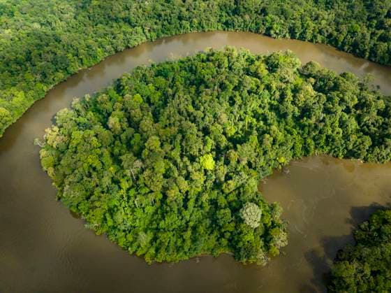 Guyane, outre-mer, amazonie, forêt, biodiversité Florian Launette & Mégane Chêne MAXPPP - Talhuwen 07 12 2023 Guyane- Forêt Amazonienne. Illustration rivière Amazonie Illustration sur Talhuwen, également orthographié comme Taluwen, Taluhen ou Taluen, est un village Wayana situé sur la rivière Lawa en Guyane. La Guyane est une collectivité territoriale unique française située en Amérique du Sud, limitrophe du Brésil au sud-est et au sud et du Suriname à l ouest. Elle est la seule collectivité française d outre-mer de nature continentale. Ses compétences, identiques aux autres régions et départements de France, sont regroupées depuis 2015 dans le cadre d une collectivité territoriale unique dont l organe délibérant est l assemblée de Copyright: xMAXPPPxFlorianxLaunettex&xMéganexChênex LAU202312074916 LAU202312074916