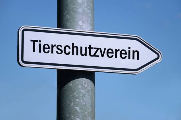 Signpost with animal protection association Signpost with animal protection association, 09 12 2023, Borkwalde, Brandenburg, On a signpost is the lettering animal protection association