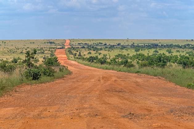 Linden Lethem Piste, red Earth road, the Lethem and Georgetown through the Savannah connects, Guyana, South America Copyright: imageBROKER/alimdix/xArterrax/xMaricaxvanxderxMeer ibltsm09997468.jpg