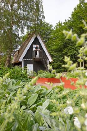 Herb garden at Sofiero Palace Gardens, Helsingborg, Province Skane län, Sweden, Europe Copyright: imageBROKER MartinaxKatz ibxcxb10022540.jpg