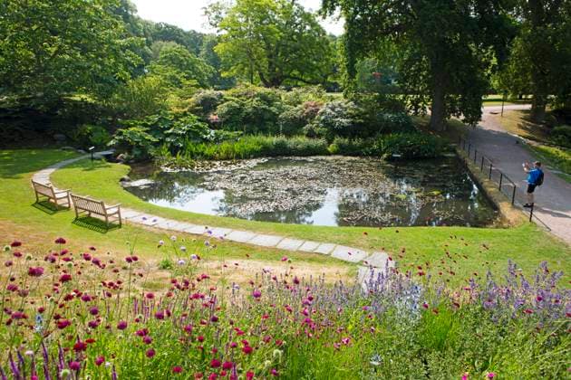 Sofiero Palace Gardens, Helsingborg, Province Skane län, Sweden, Europe Copyright: imageBROKER MartinaxKatz ibxcxb10022542.jpg