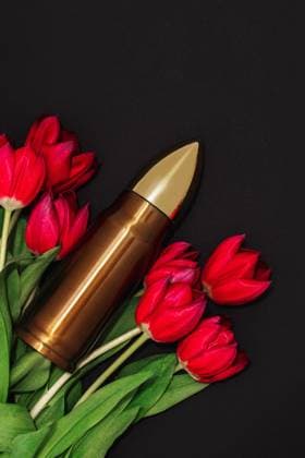 Pacifism, non-violence movement or Victory Day. Bullet and bunch of red tulips. Pacifism, non-violence movement or Victory Day. Big bullet and bunch of red tulips. ,model released, Symbolfoto Copyright: xZoonar.com AnatolijsxJascuksx 21037560 ,model released, Symbolfoto ,property released