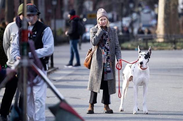 Naomi Watts with Great Dane Bing during the filming of the movie The Friend in Washington Square New York, 08 02 2024 Foto:xM.xCranex xFuturexImagex watts_4208