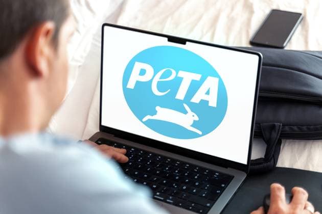 11 February 2024: A man at a computer on a laptop displaying the logo of the animal rights organization Peta - People for the Ethical Treatment of Animals. PHOTOMONTAGE