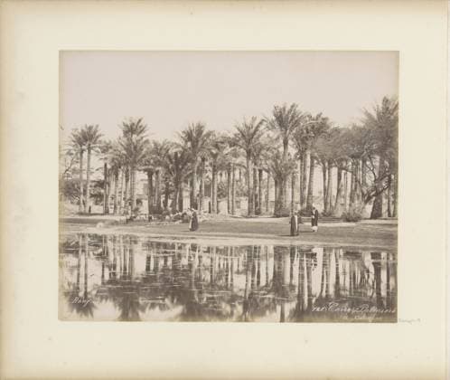 RECORD DATE NOT STATED Men with herd under the palms in Restrech at Cairo, Maison Bonfils, c. 1870 - c. 1898 photograph Part of travel album with 80 photos from Egypt. Egypt cardboard. paper. photographic support albumen print trees: palm-tree Cairo Copyright: xpiemagsx rknbpie11012024-22341 !ACHTUNG AUFNAHMEDATUM GESCHÄTZT!