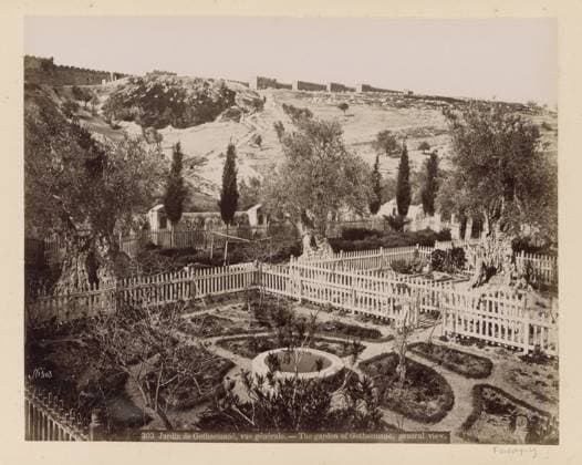 RECORD DATE NOT STATED View of the Hof van Getsemane at the foot of the Mount of Olives in Jerusalem, Maison Bonfils, c. 1867 - c. 1895 photograph Part of Reisalbum with photos of Jerusalem and other biblical places. Jerusalem cardboard. paper. photographic support albumen print garden. mountains Jerusalem. Getsemane. Mount of Olives Copyright: xpiemagsx rknbpie11012024-22451 !ACHTUNG AUFNAHMEDATUM GESCHÄTZT!