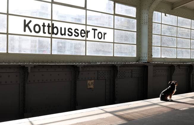 08 03 2024, Berlin Germany A dog waits at Kottbusser Tor underground station It is unclear what for