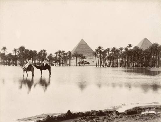 EGYPT: GREAT PYRAMIDS, c1880. Flooded palm trees at the Great Pyramids of Giza, Egypt. Photograph by Felix Bonfils, c1880.  Copyright: xGRANGERx xGRANGERx 0908466