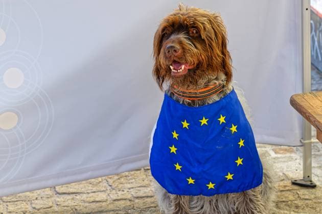 Europe Under the motto , We are Europe , the Bavarian Europe Day 2024 took place in Regensburg Regensburg Bavaria Germany Copyright: xRolfxPossx