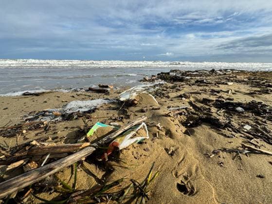 Lido di Jesolo, Italy - 2 May 2024: polluted beach by the sea after a storm. Dirt and plastic washed up from the sea at the vacation resort of Lido di Jesolo in Italy