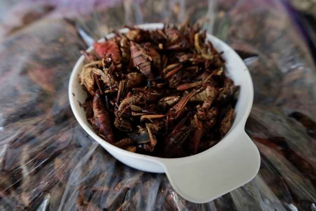 Pre-Hispanic Gastronomy Fair In Mexico View of dried grasshoppers at the Pre-Hispanic Food Fair 2024 in the Macro Plaza in the Iztapalapa district of Mexico City, where food such as tlacoyos, sopes, quesadillas, huitlacoche, chilatole, and other dishes prepared with acociles, nopales, quelites, beans, and grasshoppers are on offer, on July 11, 2024. Mexico City Mexico Copyright: xGerardoxVieyrax originalFilename: vieyra-notitle240711_nppr0.jpg