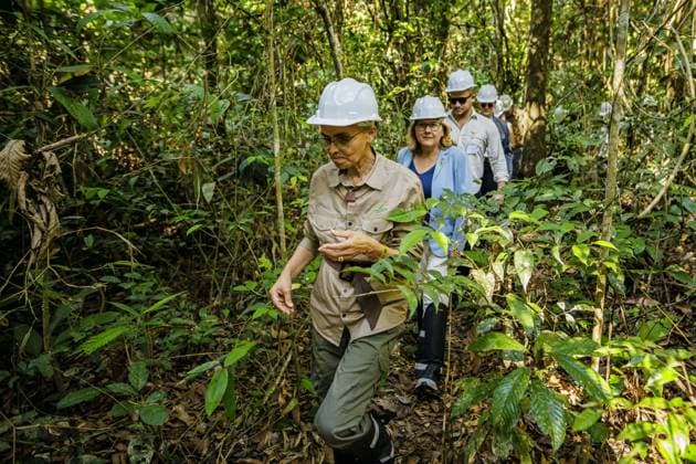 Svenja Schulze SPD , Federal Minister for Economic Cooperation and Development, visits together with the Brazilian Minister for Environmental Protection and Climate, Marina Silva, the cooperative of the traditionally resident population, COOMFLONA in the Tapajos National Copyright: xThomasxImoxBMZxphotothek.dex