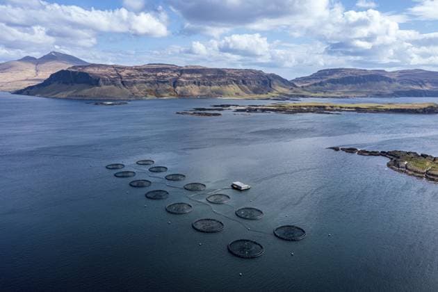 Floating Cages of a Salmon farm, Sea between Isle of Ulva and Isle of Gauze, Mt Ben More Mull in The back, Aerial view, Scotland, UK Copyright: imageBROKER AndreasxWerth iblawe10948313.jpg