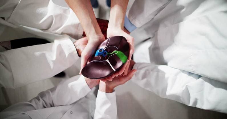 Diverse Group Of Doctors Holding Kidney, Diverse Group Of Doctors Holding Kidney Model, Diverse Group Of Doctors Holding Kidney Model, 22.06.2024, Copyright: xAndreyPopovx Panthermedia37482097.jpg