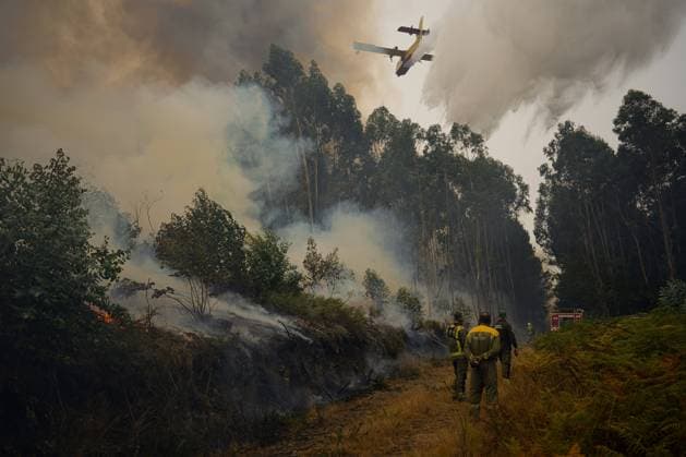Bilder des Jahres 2024, News 09 September News Themen der Woche KW36 News Bilder des Tages The forest fire in Entrimo Ourense burns 180 hectares Agents of the Fire Brigade of Galicia work on the fire in the Natural Park of Baixa Lima Serra do Xurés, on September 5, 2024, in Entrimo, Ourense, Galicia Spain The forest fire in Entrimo Ourense , which entered Galicia during the afternoon of this Wednesday, September 4, from Portugal and affects the Natural Park of Baixa Lima Serra do Xurés, has already burned about 180 hectares, according to the last data facilitated by the Consellería do Medio Rural The fire originated about 20 30 hours of September 3 in Portugal and acquired a great virulence because of the wind The means of the Service of Prevention and Defense against the Forest Fires of the Xunta were collaborating with Portugu Copyright: xRosaxVeigax 6194079