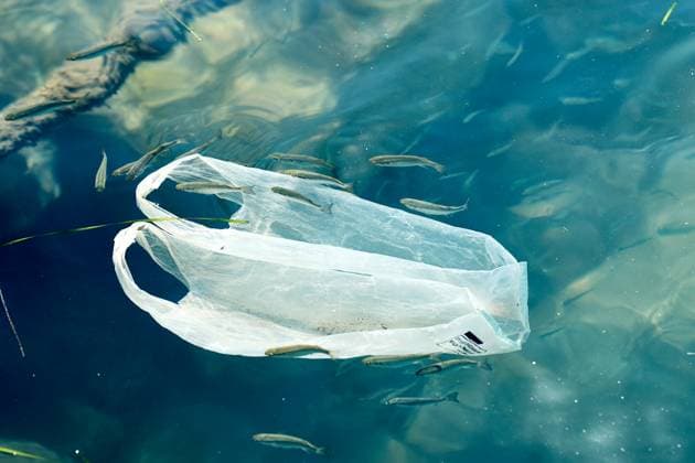Katakolon, Greece - August 30, 2024: Plastic bag floats in the sea, showing the devastating effects of pollution on marine life Plastic waste is a major threat to the oceans and their inhabitants