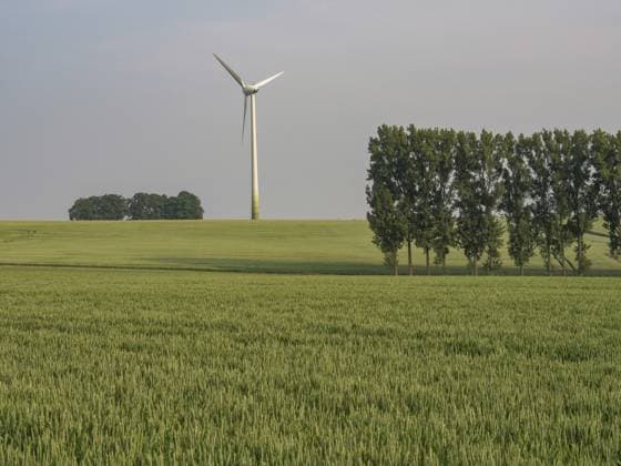 Ein Windrad und eine Baumreihe in einem weiten Weizenfeld, borken, münsterland, deutschland A wind turbine and a row of trees in a wide wheat field, borken, münsterland, germany Copyright: imageBROKER StephanxSühling ibxssh11369697.jpg