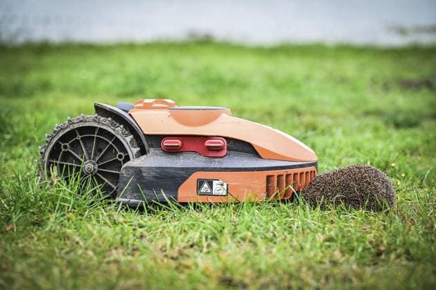 Haus der Igel in Krefeld FOR EDITORIAL PURPOSES ONLY EDITORIAL USE ONLY p a hedgehog sits opposite a robotic mower in front of the Haus der Igel in Krefeld on Wednesday, October 2, 2024 Hedgehogs are getting worse In addition to the dangers posed by robotic mowers and the like, climate change is upsetting the rhythm Copyright: SvenjaxHanusch doc7xftkp0msb822lnnisx ,EDITORIAL USE ONLY Copyright: SvenjaxHanusch