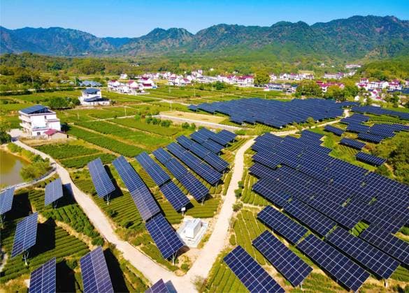 Integration of Agriculture And Photovoltaic Industry Rows of photovoltaic panels are seen in a tea garden at Amber Village in Anqing, China, on October 2, 2024. Anqing China  Copyright: xCFOTOx originalFilename: cfoto-integrat241003_npfIO.jpg