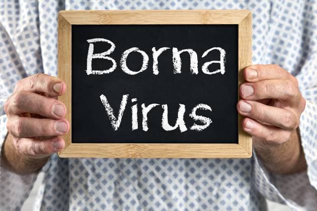 Bavaria, Germany - November 12, 2024: Borna virus, sick patient in patient gown with shield. Symbolic image for Borna disease or illness - virus and disease, as well as symptoms.
