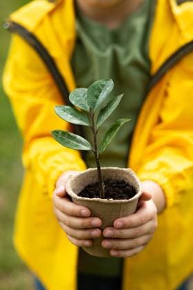 Kinderhände halten Topf mit Pflanze. Rettet die Erde. Tag der Erde. Weltumwelttag. Kinderhände halten Topf mit Pflanze. Rettet die Erde. Tag der Erde. Weltumwelttag. Copyright: xZoonar.com ZulfiiaxIshmukhametovax 22714966