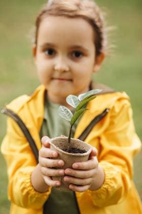 Kinderhände halten Topf mit Pflanze. Rettet die Erde. Tag der Erde. Weltumwelttag. Kinderhände halten Topf mit Pflanze. Rettet die Erde. Tag der Erde. Weltumwelttag. ,model released, Symbolfoto Copyright: xZoonar.com ZulfiiaxIshmukhametovax 22715013 ,model released, Symbolfoto ,property released