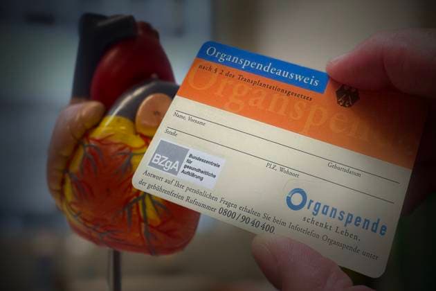 THEME PHOTO PHOTOMONTAGE organ donor card symbol photo organ donation,donor organ,card,
