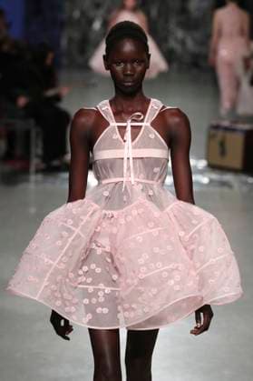 PFW - Cecilie Bahnsen Runway A model walks the runway during the Cecilie Bahnsen Womenswear Fall Winter 2025-2026 show as part of Paris Fashion at Palais De Tokyo on March 05, 2025 in Paris, France. Photo by Alain-Gil Gonzalez ABACAPRESS.COM Paris France  Copyright: xGonzalezxAlain-Gil ABACAx