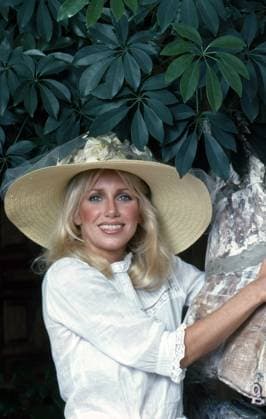 Suzanne Somers, 1978. ph: Robert Phillips TV Guide courtesy Everett CollectionPSDSUSO RL005 PUBLICATIONXNOTxINxCANxCHNxFRAxITAxJPNxNORxPOLxRUSxESPxUKxUSA Copyright: xx PSDSUSO RL005 PSDSUSO_RL005_H