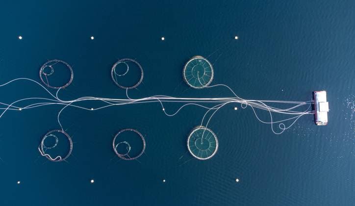 Luftaufnahme direkt über einer kreisförmigen Fischzuchtanlage Aerial shot directly above a circular shaped fish farm in sea (License=RF) Copyright: xZoonar.com PeterxMocsonokyx 23302752