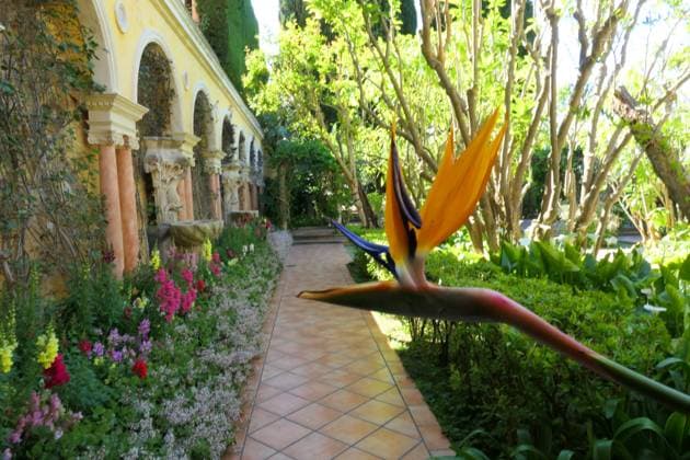 Villa et jardins Ephrussi de Rothschild Sylvestre MAXPPP saint jean cap ferrat France 30 04 2025 villa ephrussi de rothschild, jardin,espagnol A palace built during the Belle Epoque and its magnificent gardens Located between Nice and Monaco, overlooking the Mediterranean, the Villa Ephrussi de Rothschild is a magnificent palace surrounded by nine themed gardens French garden, Spanish garden, Florentine garden, lapidary garden, Japanese garden, exotic garden, Provencal garden, roseraie Villa et jardins Ephrussi de Rothschild Saint Jean Cap Ferrat France April 30 2025 A villa built during the Belle Epoque and its magnificent gardens Located between Nice and Monaco, overlooking the Mediterranean, the Villa Ephrussi de Rothschild is a magnifi Copyright: xMAXPPPxSylvestrex SYL202504306153 SYL202504306153