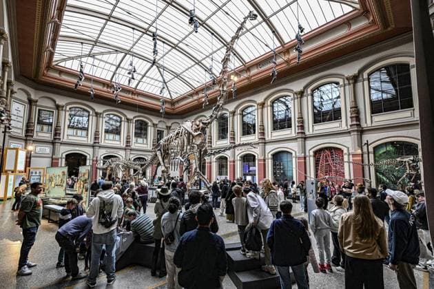 International Museum Day in Berlin Natural History Museum FOR EDITORIAL PURPOSES ONLY EDITORIAL USE ONLY p International Museum Day in Berlin Visitors walk through the Natural History Museum, photographed on May 18, 2025 in Berlin Berlin Berlin Berlin Copyright MaurizioxGambarini Copyright: MaurizioxGambarini doc80ow7f7p6y1h4th47nd ,EDITORIAL USE ONLY Copyright: MaurizioxGambarini