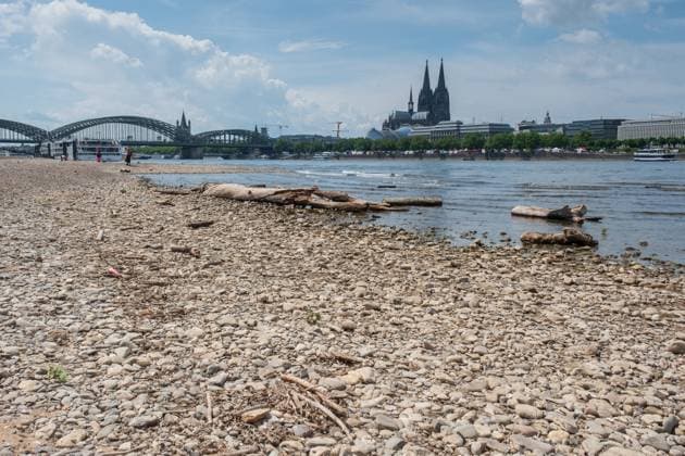 The Rhine near Cologne has extremely low water in May - the lowered water level exposes banks and changes the familiar city panorama. Nordrhein-Westfalen Deutschland, Germany GMS19340