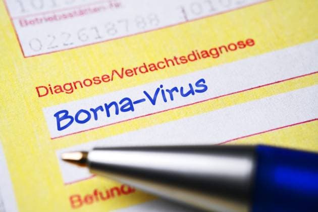 PHOTOMONTAGE, medical referral form with diagnosis of Borna virus ** NUR FUER REDAKTIONELLE ZWECKE ** EDITORIAL USE ONLY **