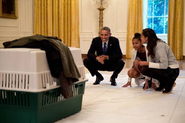 Archives Barack Obama and his many meetings with children Nov 26, 2014 The President and his daughters Malia and Sasha look at Mac the turkey in the East Room prior to the annual National Thanksgiving Turkey pardon ceremony at the White House The President pardoned Cheese publicly, though both Mac and Cheese were spared to live out  Copyright: xPetexSouza ThexWhitexHousexviaxBestimagexPetexSouza ThexWhitexHousexviaxBestimagex