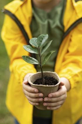 Kinderhände halten Topf mit Pflanze. Rettet die Erde. Tag der Erde. Weltumwelttag Kid child hands holding pot with plant. Save the Earth. Earth Day. World Environment Day Copyright: imageBROKER ZulfiiaxIshmukhameto ibxiqx14289715
