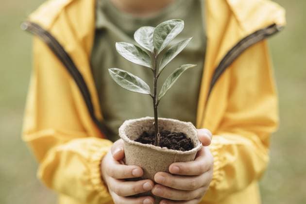 Kinderhände halten Topf mit Pflanze. Rettet die Erde. Tag der Erde. Weltumwelttag Kid child hands holding pot with plant. Save the Earth. Earth Day. World Environment Day Copyright: imageBROKER ZulfiiaxIshmukhameto ibxiqx14290121.jpg ,model released, Symbolfoto ,property released