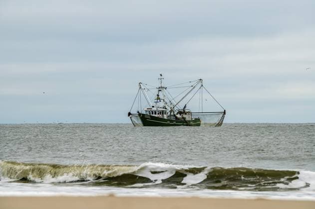Krabbenkutter an der Nordseeküste Shrimp boats on the North Sea coast Copyright: imageBROKER KayxAugustin ibxiqx13903068.jpg