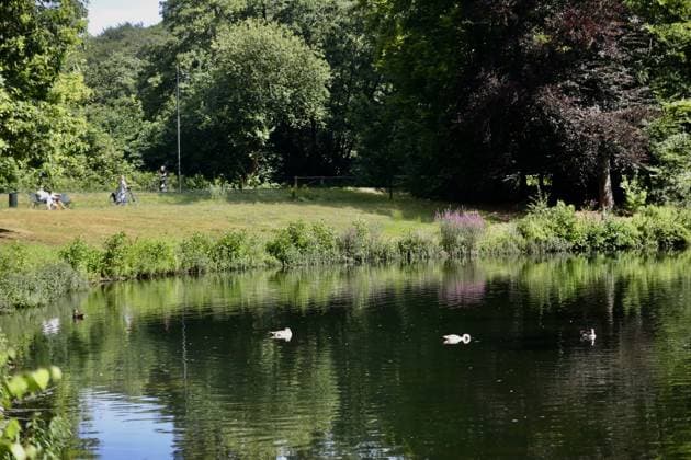For 126 years, Park Sonsbeek in the Netherland has offered Arnhem residents a peaceful space ARNHEM, NETHERLANDS - JULY 18: A general view of Park Sonsbeek in Arnhem, Netherlands, on July 18, 2025. Open to the public for 126 years, the historic park is one of the city’s most iconic landmarks, offering a peaceful retreat with its waterfalls, duck-filled ponds, and walking paths surrounded by lush greenery. Ilyas Gun Anadolu Arnhem Netherlands. Editorial use only. Please get in touch for any other usage.  Copyright: x2025xAnadoluxIlyasxGunx