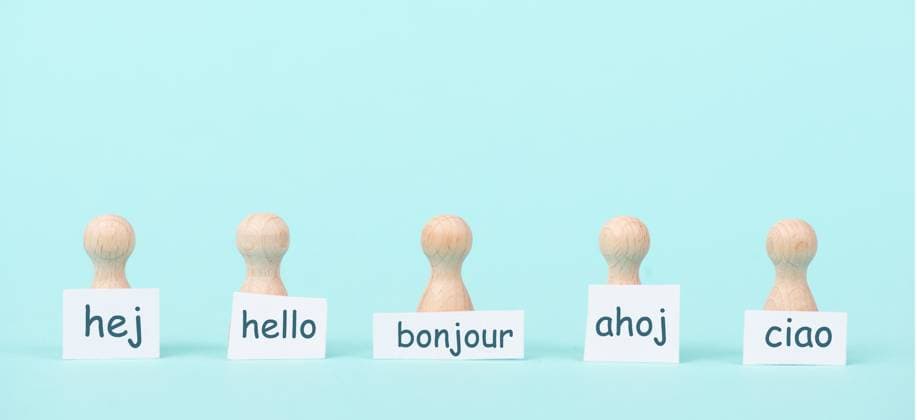 European Languages, Welcome in various in Europe spoken Languages, Concept the multilingual Company and Communities, Multilingualism in the EU 1133602004