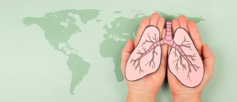 Month the Awareness raising for Lung cancer, Viruses and Air pollution, Tuberculosis, lengthy Cough Or Asthma diseases, Day of non-smoking, Organ donation 1133602322