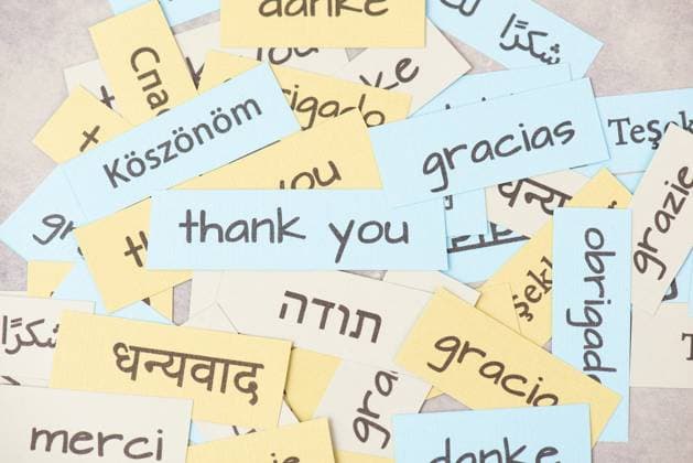 Thank you Day, the Word Thanks to in various Languages, Gratitude, Support, Help and Charity 1133602542