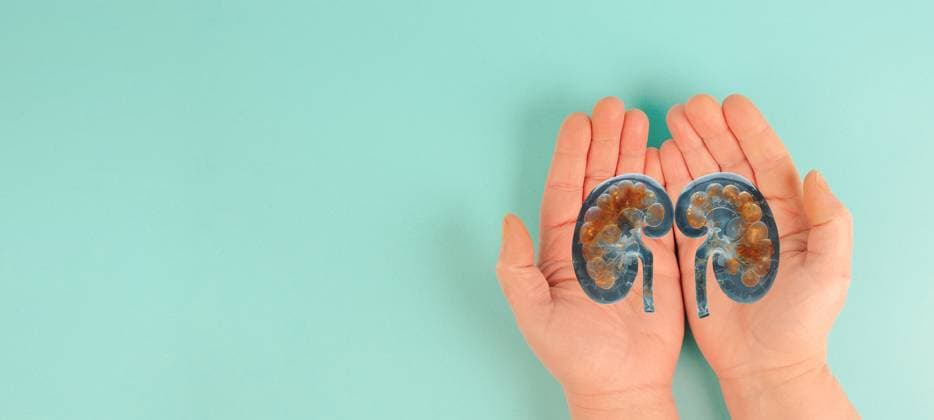 Kidney disease, World Kidney Day, Health problems, Donation and Transplantation, medical Subject 1133602839