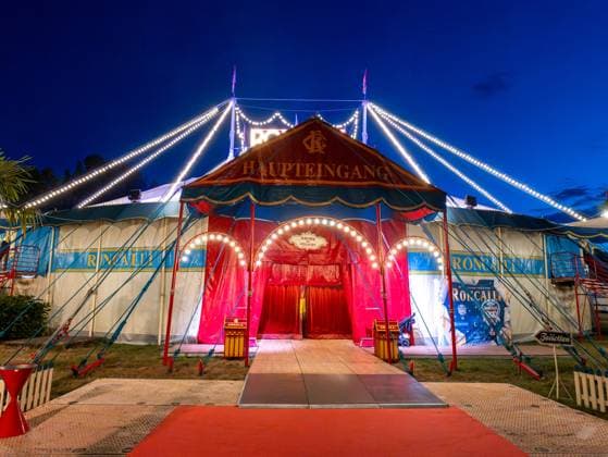 Circus Roncalli in Hanover 2025 ARTistART Premiere 2025 of Circus Roncalli in Hanover Copyright: xBerndxGüntherx