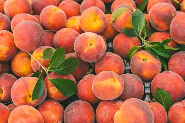 Fresh peaches at a local market in Antalya, Turkey A vibrant display of fresh, organic peaches with lush green leaves at a local bazaar in Antalya, Turkey, showcasing the region s rich agricultural bounty Model Released AlinaKandybka_ID30794_1042951_008 Copyright: xAlinaxKandybkax RECORD DATE NOT STATED