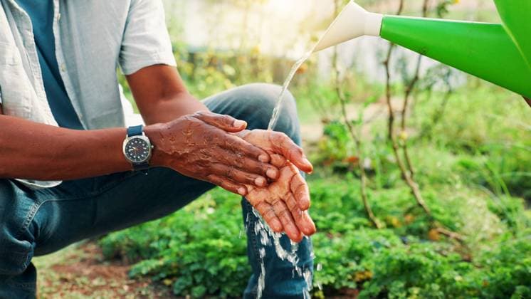 Environment, washing hands and watering can with person on farm for cleaning, hydration or hygiene. Agriculture, bacteria and sustainability with farmer outdoor in green countryside for agribusiness Environment, washing hands and watering can with person on farm for cleaning, hydration or hygiene. Agriculture, bacteria and sustainability with farmer outdoor in green countryside for agribusiness., model released, , 95506064.jpg RECORD DATE NOT STATED