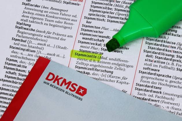 Duden with marker and brochure from DKMS Duden with marker and brochure from DKMS, 21 09 2025, Borkwalde, Brandenburg, In a Duden with a brochure from DKMS, the word stem cell was highlighted with a marker